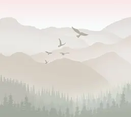 Divino Детские F-234  Divino Детские F-234