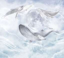 Фотообои Divino Детские F-487 Фотообои Divino Детские F-487