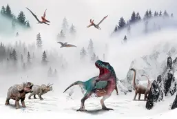 Divino Детские Z-006  Divino Детские Z-006