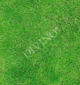 Рулонные шторы Divino Фоны, Текстуры LRB-0243-1-124 Рулонные шторы Divino Фоны, Текстуры LRB-0243-1-124