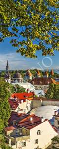 Рулонные шторы Divino Города и Страны MRB-0165-3-47 Рулонные шторы Divino Города и Страны MRB-0165-3-47