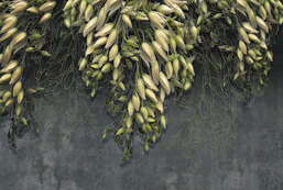 Фотообои Divino  Гранж F-197 Фотообои Divino  Гранж F-197