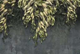 Divino  Гранж F-197  Divino  Гранж F-197