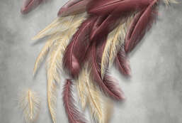 Фотообои Divino  Гранж F-245 Фотообои Divino  Гранж F-245