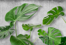 Фотообои Divino  Гранж F-309 Фотообои Divino  Гранж F-309