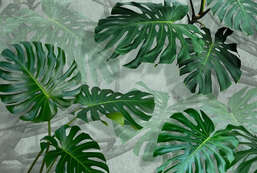 Фотообои Divino  Гранж F-350 Фотообои Divino  Гранж F-350