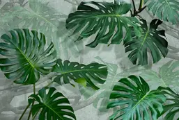 Divino  Гранж F-350  Divino  Гранж F-350