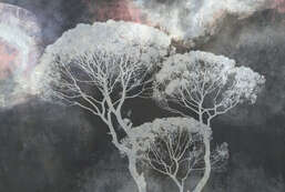 Фотообои Divino  Гранж F-383 Фотообои Divino  Гранж F-383