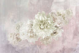 Фотообои Divino  Гранж Z-341 Фотообои Divino  Гранж Z-341