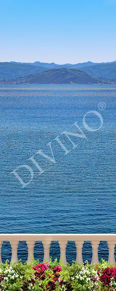 Divino Природа MRB-0262-3-47 Divino Природа MRB-0262-3-47