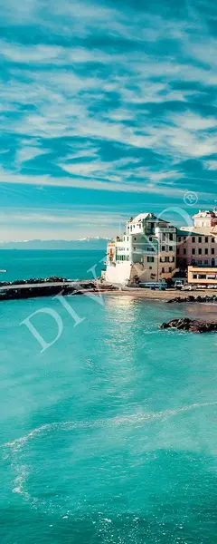 Divino Природа MRB-0254-3-47 Divino Природа MRB-0254-3-47