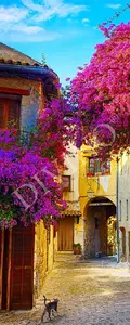 Фото Рулонные шторы Divino Природа MRB-0272-3-47 - 1 Рулонные шторы Divino Природа MRB-0272-3-47 - фото 1