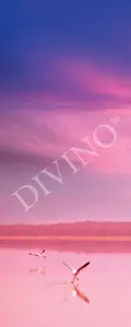 Фото Рулонные шторы Divino Животный Мир MRB-0287-3-47 - 1 Рулонные шторы Divino Животный Мир MRB-0287-3-47 - фото 1