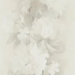 Erismann Aurora ER12243-02  Erismann Aurora ER12243-02