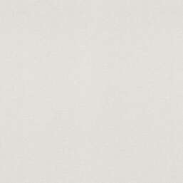 Erismann Aurora ER12242-01  Erismann Aurora ER12242-01