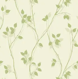 KT Exclusive Simplicity SY40024 KT Exclusive Simplicity SY40024