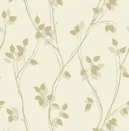 KT Exclusive Simplicity SY40033 KT Exclusive Simplicity SY40033