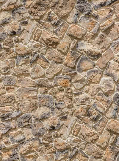 Фотообои Komar 184x248 XXL2-056 Muro