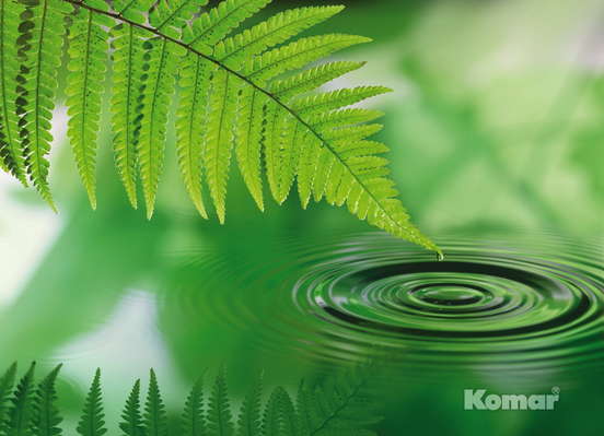 Фотообои Komar 184x254 4-730 Silence