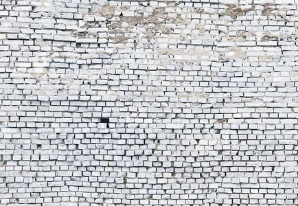 Фото Фотообои Komar 368x254 8-881 White Brick - 1 Фотообои Komar 368x254 8-881 White Brick - фото 1