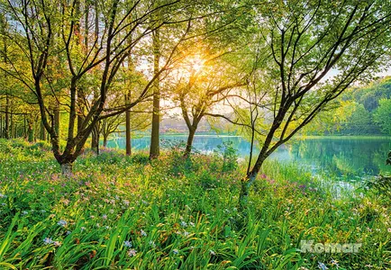 Фото Фотообои Komar 368x254 8-524 Spring Lake - 1 Фотообои Komar 368x254 8-524 Spring Lake - фото 1