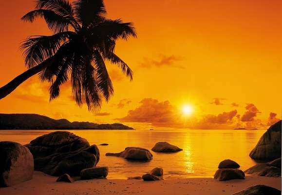 Фотообои Komar 368x254 8-316 Sunset Фотообои Komar 368x254 8-316 Sunset