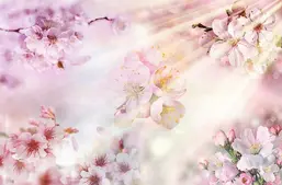 La Stanza Цветы f233 La Stanza Цветы f233