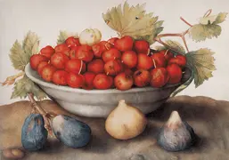 La Stanza f045 La Stanza f045