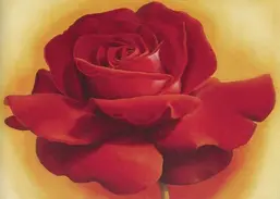 La Stanza f166 La Stanza f166