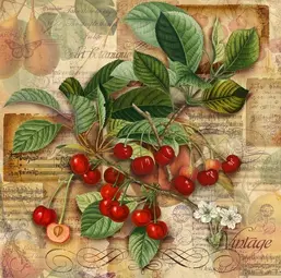 La Stanza f173 La Stanza f173