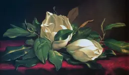 La Stanza f189 La Stanza f189
