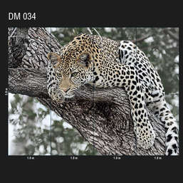 Обои Loymina Illusion DM 034 Обои Loymina Illusion DM 034