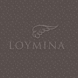 Обои Loymina Jetset JET6 009/1 Обои Loymina Jetset JET6 009/1