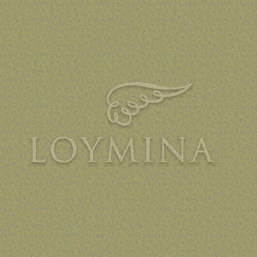 Обои Loymina Jetset JET6 018 Обои Loymina Jetset JET6 018