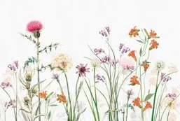 Ortograf Flowers 34079 Ortograf Flowers 34079