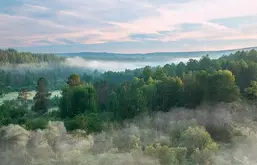 Ortograf Лес 33604 Ortograf Лес 33604