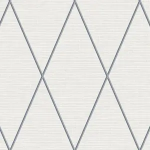 Фото Обои Paper Ink Navy Grey&White BL71808 - 1 Обои Paper Ink Navy Grey&White BL71808 - фото 1