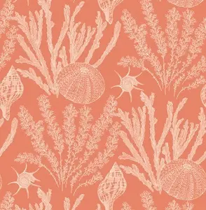 Фото Обои Paper Ink Coastal Chic co11801 - 1 Обои Paper Ink Coastal Chic co11801 - фото 1
