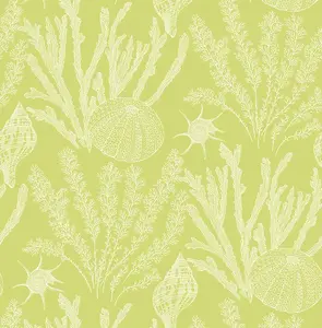 Фото Обои Paper Ink Coastal Chic co11814 - 1 Обои Paper Ink Coastal Chic co11814 - фото 1