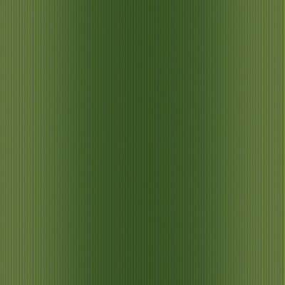 Обои Paravox Grafia GR4043 Обои Paravox Grafia GR4043