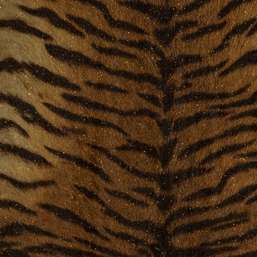 Обои Portofino Animalier 255061 Обои Portofino Animalier 255061