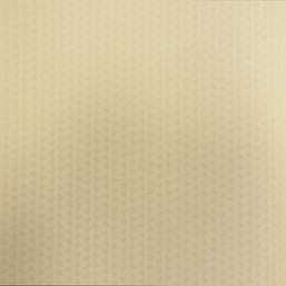 Обои Rasch-Textil Selected 079400 Обои Rasch-Textil Selected 079400