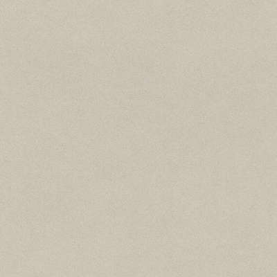 Обои Rasch Crispy Paper 527018
