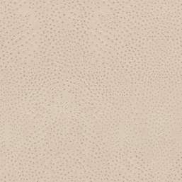 Обои Rasch African Queen 3 751512 Обои Rasch African Queen 3 751512