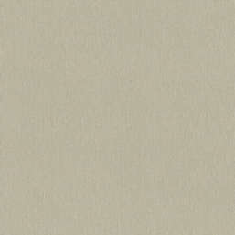 Обои Rasch Ascona 979381 Обои Rasch Ascona 979381