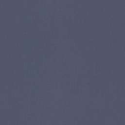 Обои Rasch Maximum XVI 960723 Обои Rasch Maximum XVI 960723
