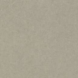 Обои Rasch Trend 947410 Обои Rasch Trend 947410