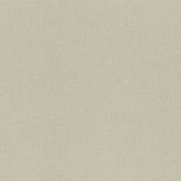 Обои Rasch Trend 975505 Обои Rasch Trend 975505