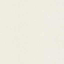Обои Rasch Trend 975512 Обои Rasch Trend 975512