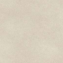 Обои Rasch Wall Textures XL III 973013 Обои Rasch Wall Textures XL III 973013